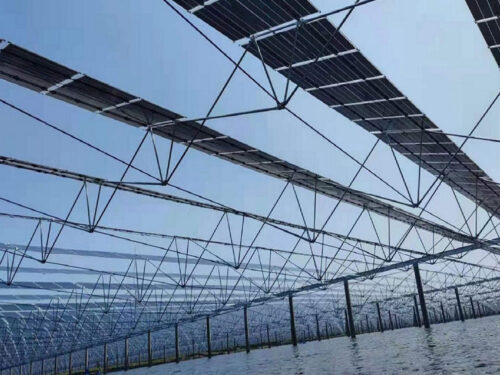 cable-structure solar mounting system