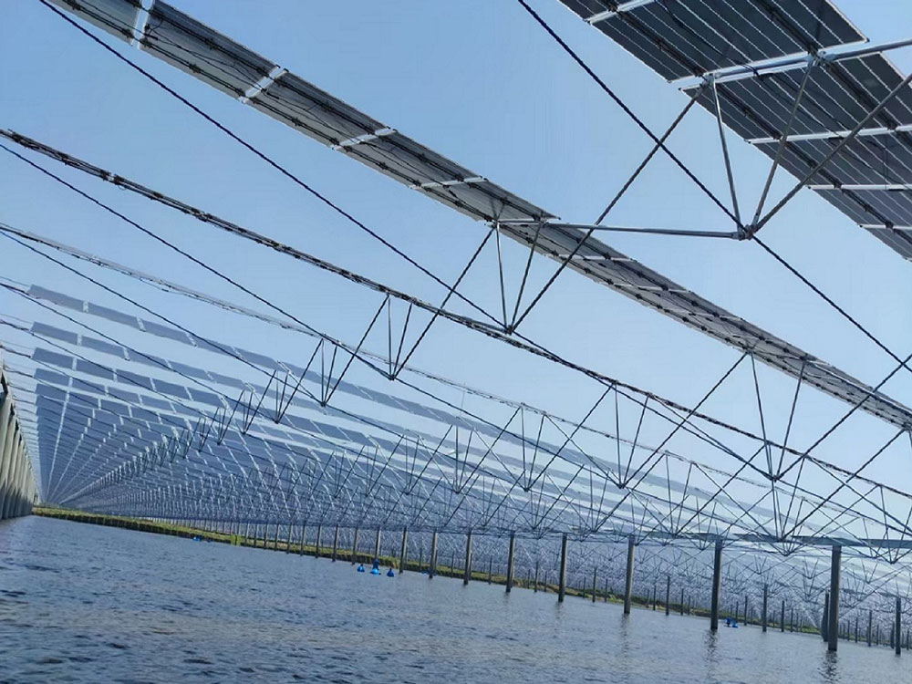 Cable Structure Solar Mounting