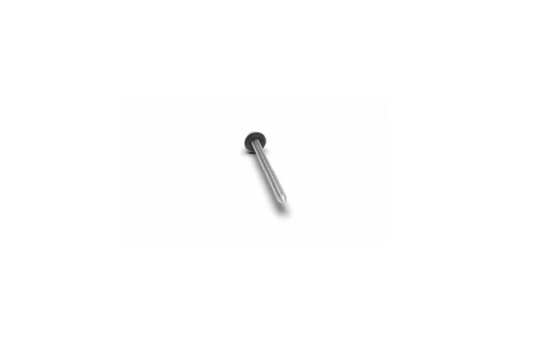 Wood screw