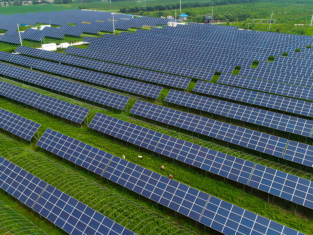 C-Channel Steel Post