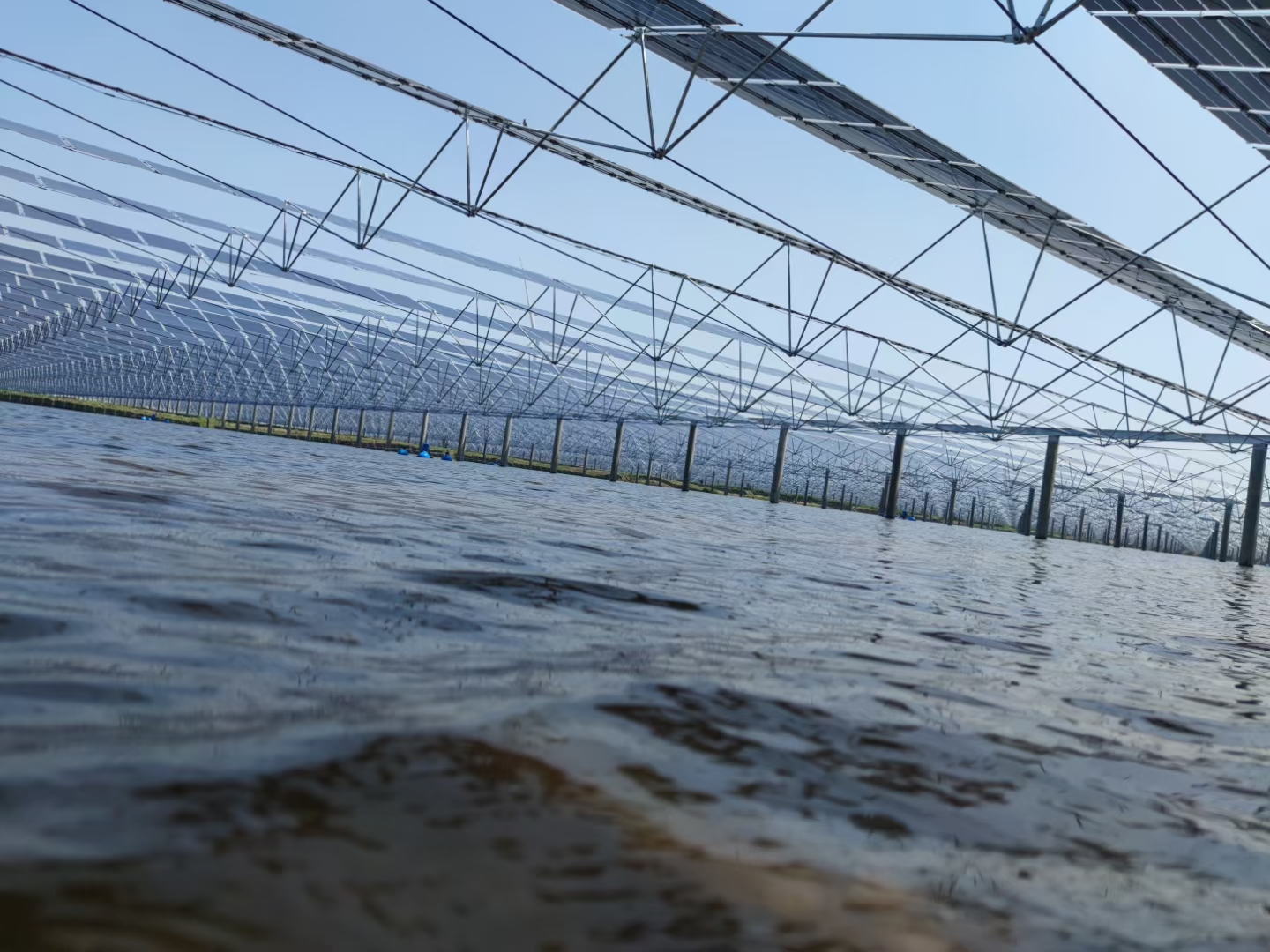 Fishery PV Mounting Systems