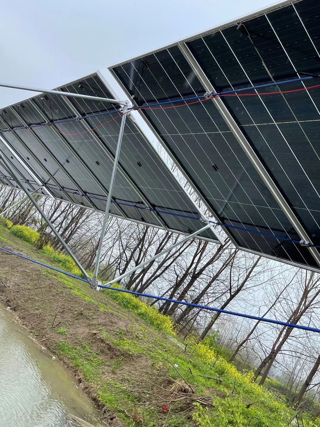 solar power plants